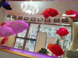 -痘庄科学祛痘国际连锁机构