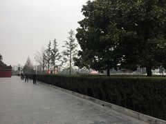 -关林