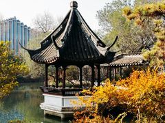 -上海醉白池公园