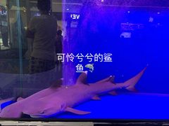 -卓锦曼购中心(国香街店)