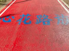 -黛秀湖公园