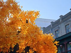 -中华巴洛克风情街