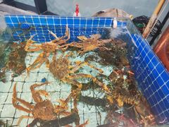 -大锅强·蒸海鲜青岛菜(吾悦广场店)