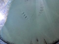 -绍兴梦享海洋公园