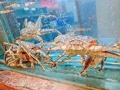 -海逸海鲜酒家(古北店)