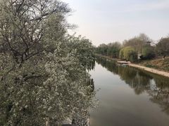 -赵州桥景区