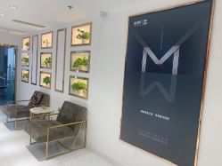 -MIVI野生眉纹绣纹眉