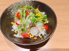 蔬菜沙拉-五道双马·双马餐厅(五道口店)