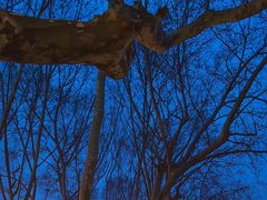 -南京维景国际大酒店(南京博物院店)