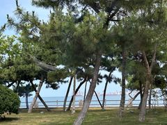 -悦海公园