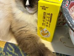-平行世界·猫咖(首经贸店)