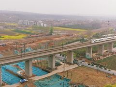 -洛阳市隋唐城遗址植物园