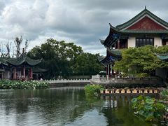 -MAP CHA普洱茶馆(翠湖店)