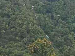 -梧桐山风景名胜区