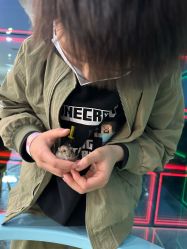 点击看大图 -神奇动物撸宠馆·羊驼·小浣熊·异宠(豫园店)