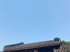 -上海醉白池公园