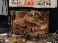 -蟹道乐(道顿堀本店)