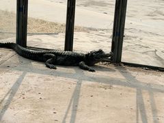 -秦皇岛野生动物园