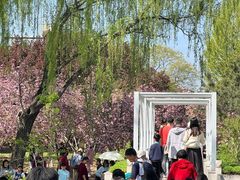 -石家庄市植物园