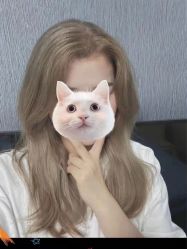 -环球蝶上美业连锁