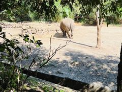 -普洱太阳河森林公园
