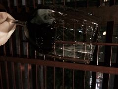Ruth's&nbsp;Chris&nbsp;Steak&nbsp;House(尖沙咀中心店)-茹丝葵牛排餐厅(尖沙咀中心店)
