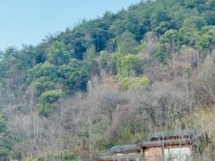 -芳草地度假酒店·野炉中餐厅