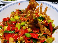 鸭掌筋-壹盏灯(惠农店)
