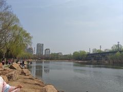 -护国法轮寺