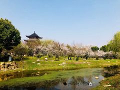 -堤角公园