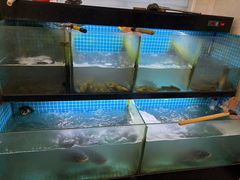 -翠茗农庄土菜馆(天目湖店)