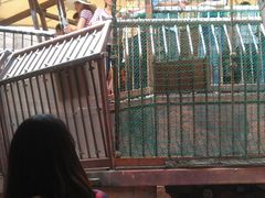 IMAG0390-北京欢乐谷