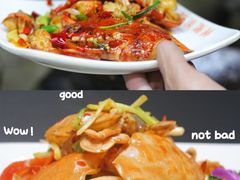 -亚龙湾热带天堂森林公园