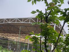 -绍兴市青少年活动中心(城东校区)