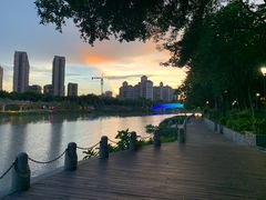 -怡海公园(桂城街道)