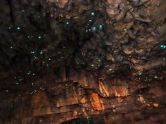 -怀托摩萤火虫洞