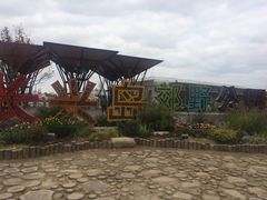 -上海长兴岛郊野公园