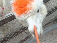 -珠海海泉湾神秘岛亲子乐园