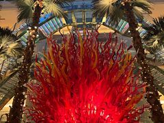 -威斯汀舞台餐厅