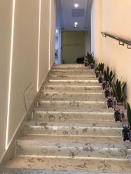 -海涛医疗美容·面部抗衰·注射美鼻