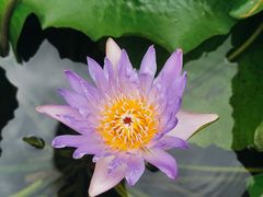 -上海植物园-4号门售票处