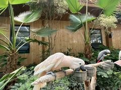 -南宫五洲植物乐园