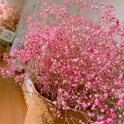 -Adore nail日式美甲美睫