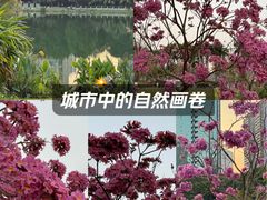 -南宁南湖公园