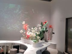 -MAMACHA妈妈茶(海信店)