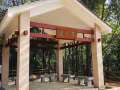 -火炉山森林公园