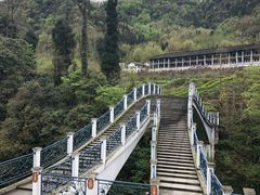 -四川省成都市彭州市白鹿镇