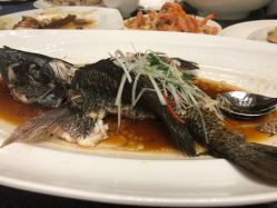 -三亚绿发山海天JW万豪酒店·宴会厅