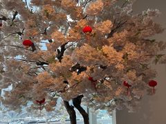 -翡翠江南(国贸商城店)