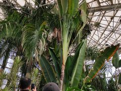 -石家庄市植物园